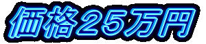 価格25万円